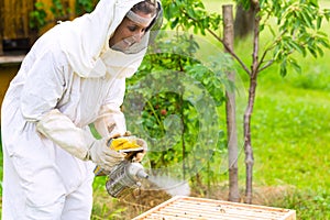 Beekeeper with smoker controlling beeyard