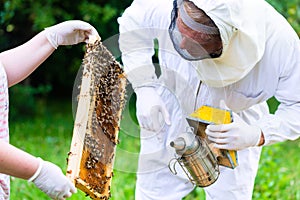 Beekeeper with smoker controlling beeyard and bees