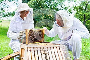 Beekeeper with smoker controlling beeyard and bees