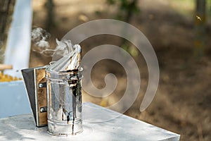 Beekeeper Smoker smokes white smoke. Apiary background. Beekeeping tool close up. Smoker stands on the ground on the green grass.