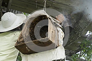 A beekeeper smokes bees with smoke for safety. Birch bark basket for bees. Insects swarm in a basket.