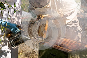 A beekeeper smokes in a hive while another beekeeper extracts honeycombs