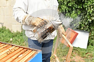 Beekeeper smoking bees with bee smoker at the apiary