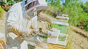 Beekeeper smoking the bees to appease the bees