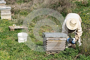 Tranquilizing bees photo