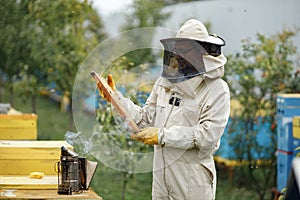 Beekeeper smoking honey bees with bee smoker on the apiary