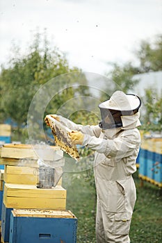 Beekeeper smoking honey bees with bee smoker on the apiary