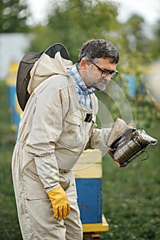 Beekeeper smoking honey bees with bee smoker on the apiary