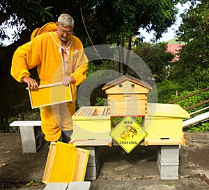 A beekeeper splitting his inventive double hive with an automatic honey dispenser