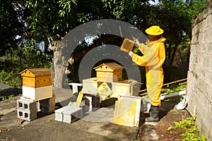 A beekeeper splitting his inventive double hive with an automatic honey dispenser