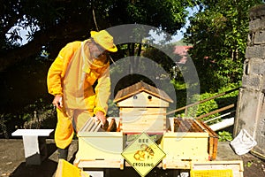 A beekeeper splitting his inventive double hive with an automatic honey dispenser