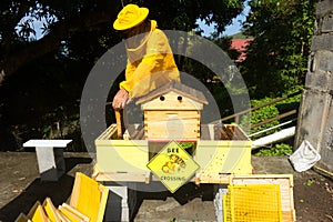 A beekeeper splitting his inventive double hive with an automatic honey dispenser