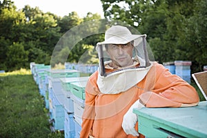 Beekeeper Standing In Apiary