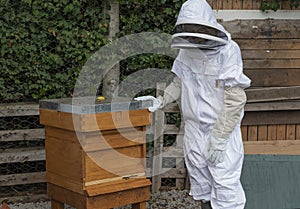 Beekeeper stood next to a bee hive