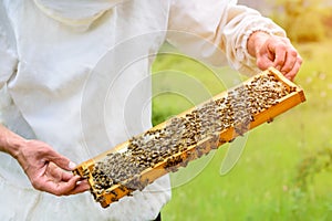 Včelař trvá ven úl plástev medu plný čerstvý med. 