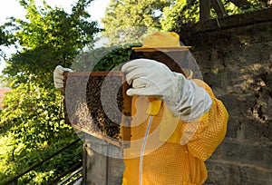 A beekeeper transferring frames from a brood hive to a new double hive designed to maximize honey production