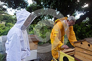 a beekeeper in the tropics teaching the basics of his inventive apiary to a student