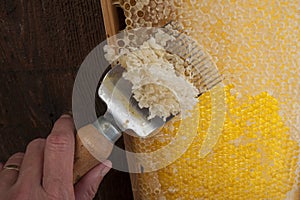 Honeycomb with uncapping fork close up