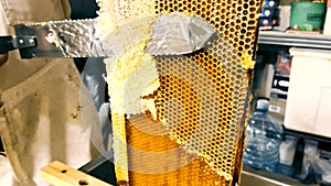 Beekeeper Unseal Goneytsomb. A tslose-up knife opens honeytsomb vith honey on frame made of beegive.