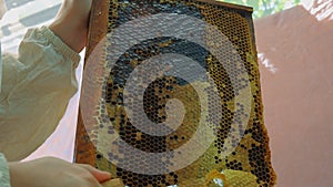 Beekeeper Unseal Honeycomb. A close-up knife opens honeycomb with honey on frame made of beehive.