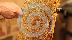 Beekeeper unsealing honeycomb