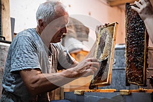 Beekeeper unseals honeycomb with a scraper to remove wax and subtract honey.