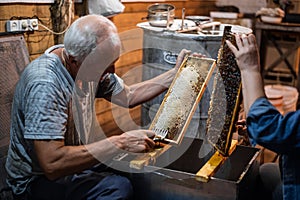 Beekeeper unseals honeycomb with a scraper to remove wax and subtract honey.