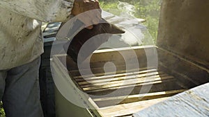 Beekeeper using bee smoker for fumigation beehive, slow motion