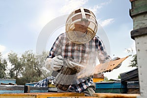 Beekeeper using bee smoker near hive at apiary. Harvesting honey