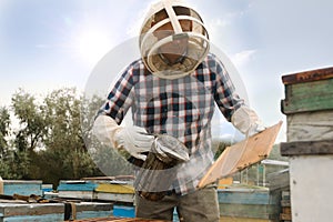 Beekeeper using bee smoker near hive at apiary. Harvesting honey