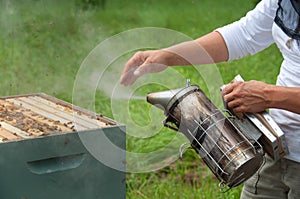 Beekeeper Using Hive Smoker