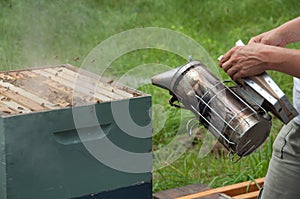 Beekeeper Using Hive Smoker