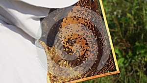 Beekeeper wearing protective workwear and gloves holding honeycomb full of bees in summer sunny day