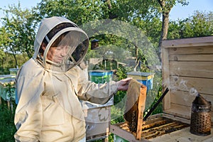 Beekeeper woman controlling beehive and comb frame. Apiculture.