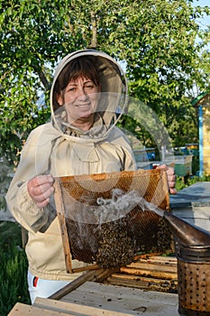 Beekeeper woman controlling beehive and comb frame. Apiculture.