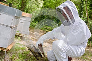 beekeeper at work