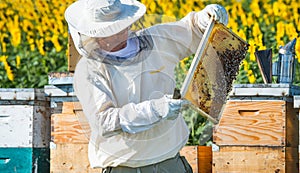 Beekeeper working