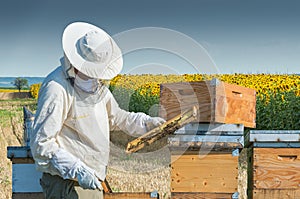 Beekeeper working