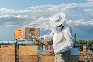 Beekeeper working