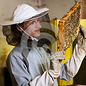 Beekeeper working in an apiary