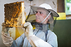 Beekeeper working in an apiary photo