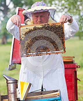 Beekeeper working in apiary