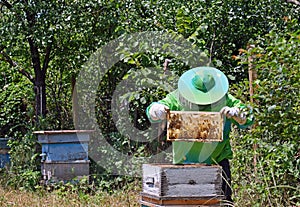 Beekeeper working on a Bee Hive