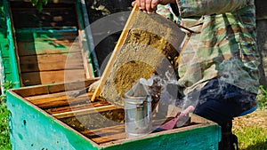 The beekeeper works in the apiary. Beehive and honey production.