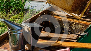 The beekeeper works in the apiary. Beehive and honey production.