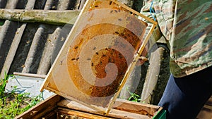 The beekeeper works in the apiary. Beehive and honey production.