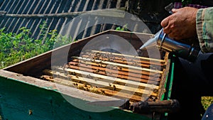 The beekeeper works in the apiary. Beehive and honey production.