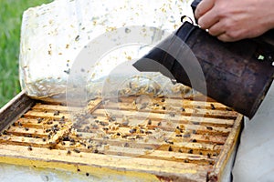 a beekeeper works in an apiary. Beekeeper's tools