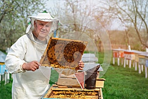 The beekeeper works on a beehive near the hives. Spring work on the apiary.