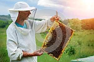 The beekeeper works with bees near the hives. Apiculture.